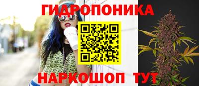 эйфоретик Краснознаменск