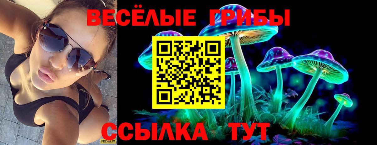 Красноуфимск  Псилоцибиновые грибы мухоморы  купить наркоту  Вход с VPN  Галлюциногенные грибы мицелий 